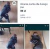 Ubranie dla dużego psa