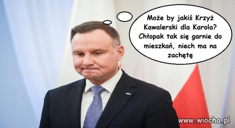 Kawalerka dla Batyra?