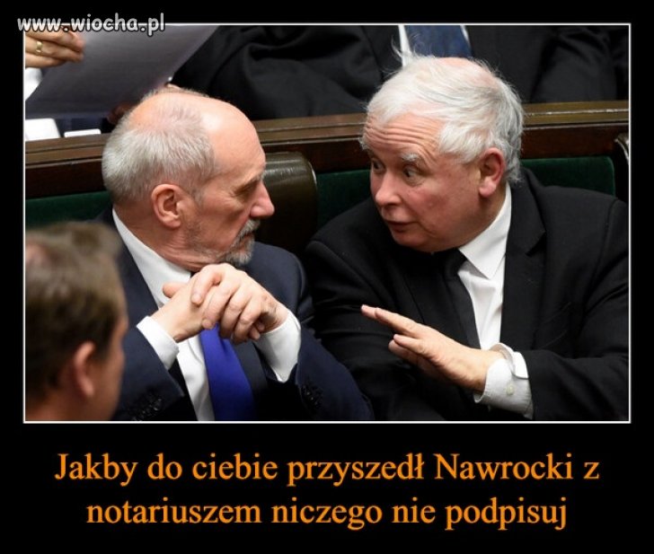Środowisko starych pisowskich dziadów ogarnęła panika