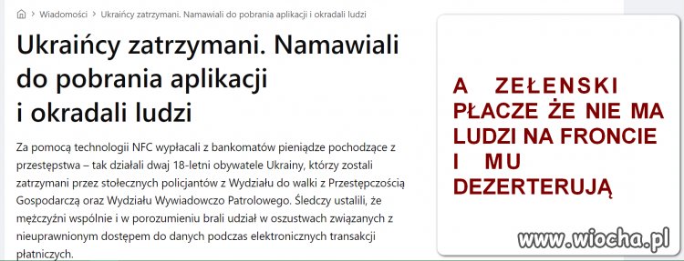 Tylko tu nie p...dolcie