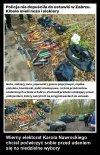 Ot taka to szlachetna, męska rywalizacja ...