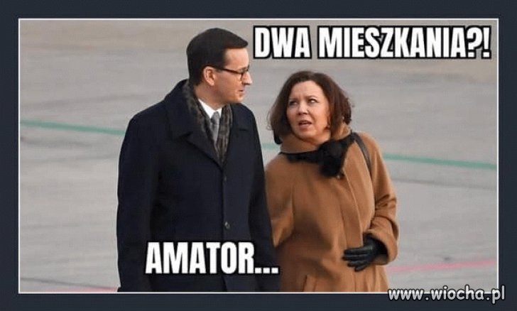 Amator z tego Alfonsa