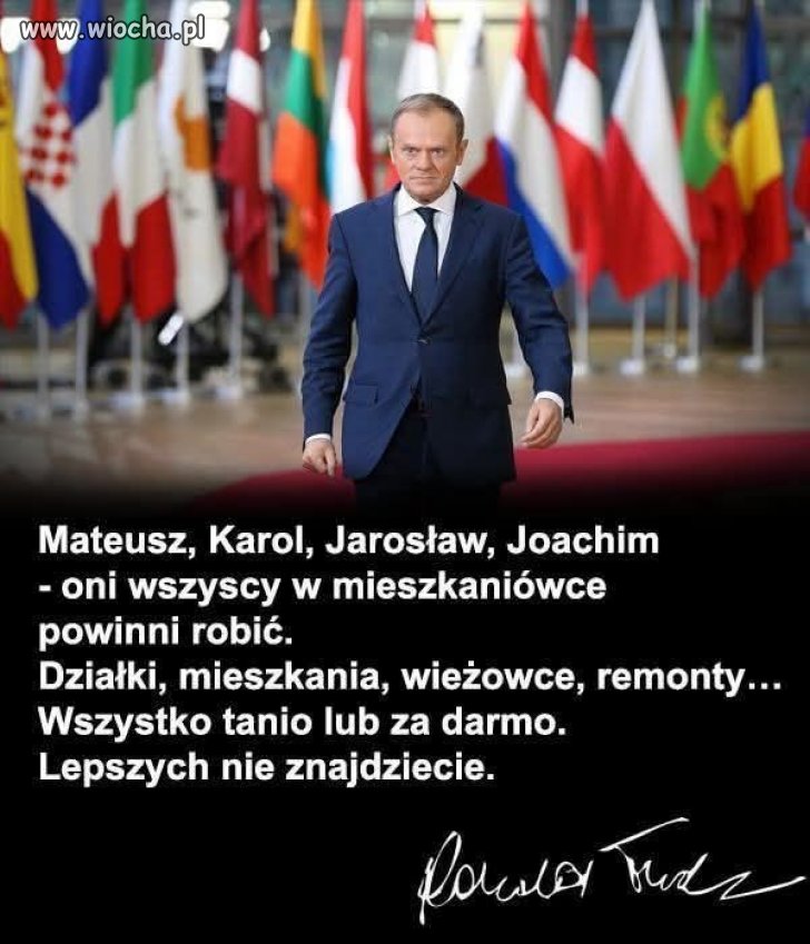 Czy zatrudniłbyś taką ekipę, złożoną z matiego, alfonsa, jaro i jojo?