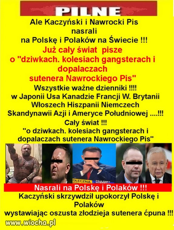 Sława Nawrockiego niesie po świecie...jako sutener