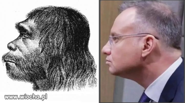 Znajdz roznice...miedzy Neandertalczykiem  i Duda!