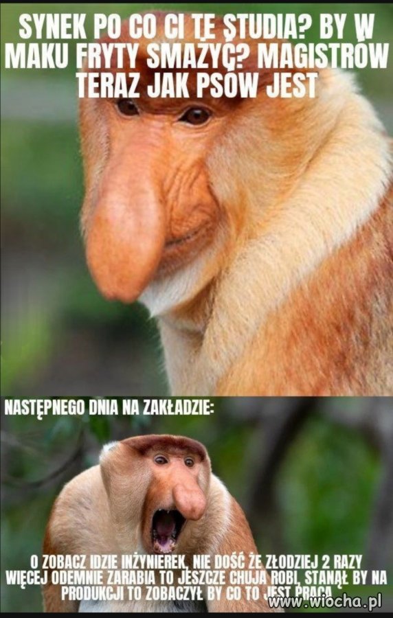 Janusze tak już mają