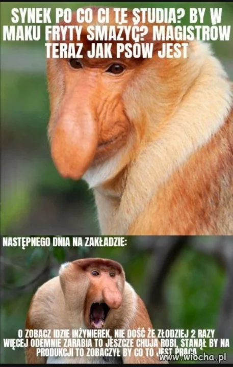 Janusze tak już mają