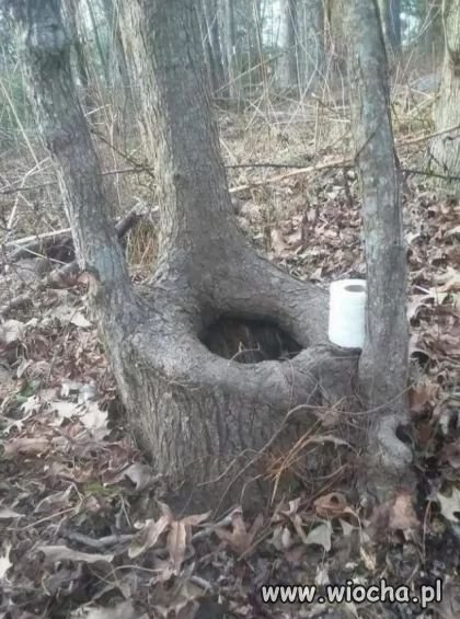 Brakuje tylko gazety.