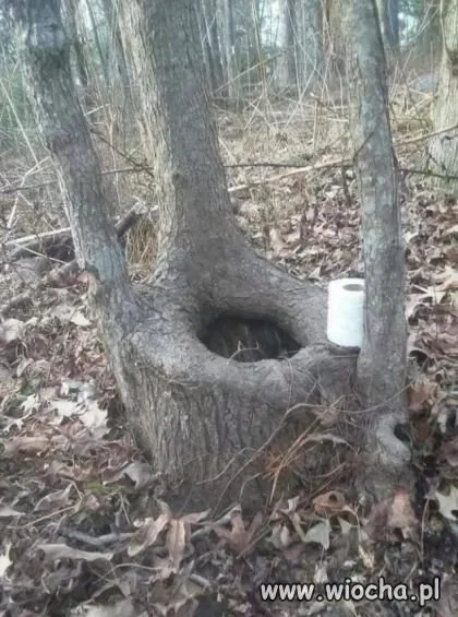 Brakuje tylko gazety.