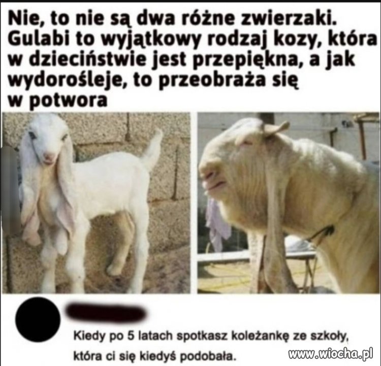 Każdy, ale to każdy 