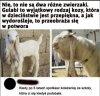 Każdy, ale to każdy 