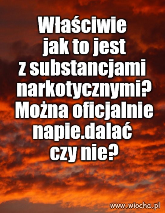 Kolega pytał