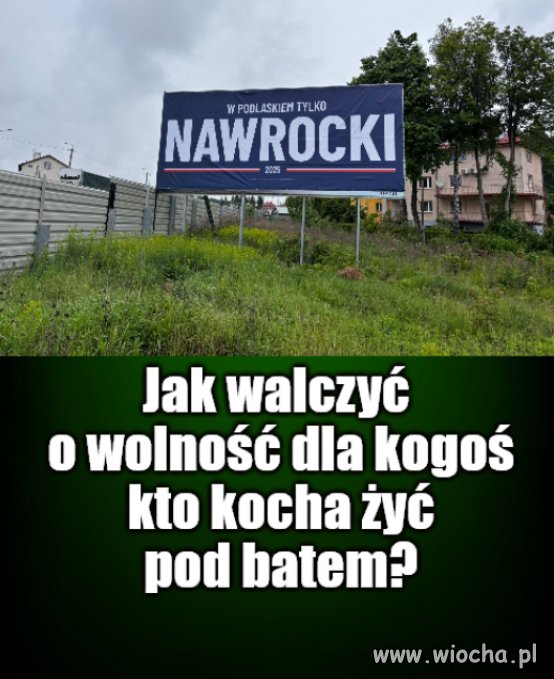 Kolega pytał