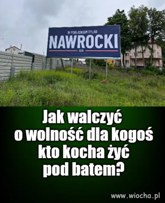 Kolega pytał