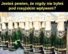 Jednak byłem