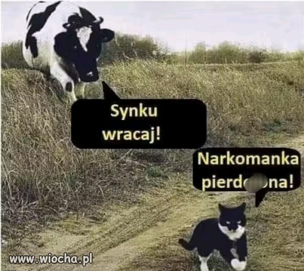 Co to musiał być za bal 