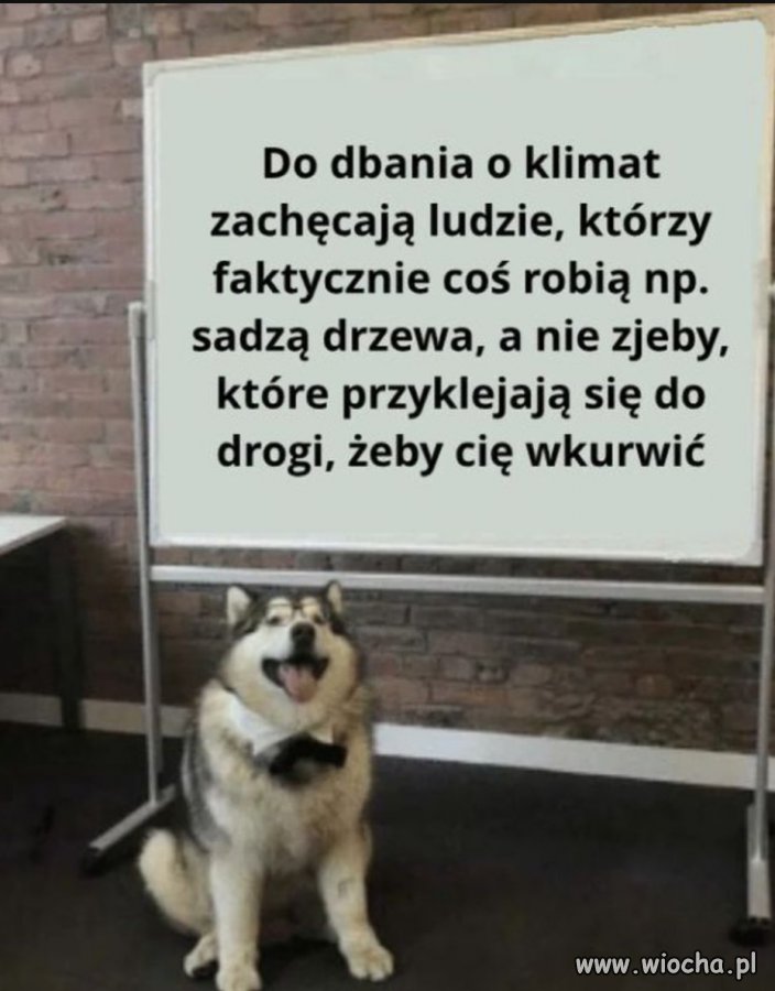 Nie da się zaprzeczyć 