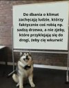 Nie da się zaprzeczyć 