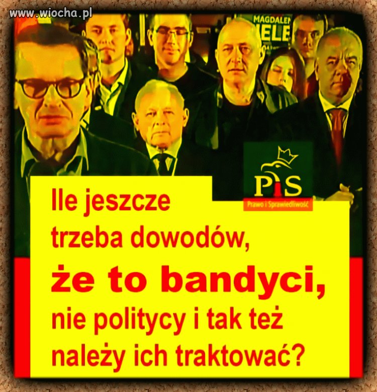 Bydlaki najgorszego sortu
