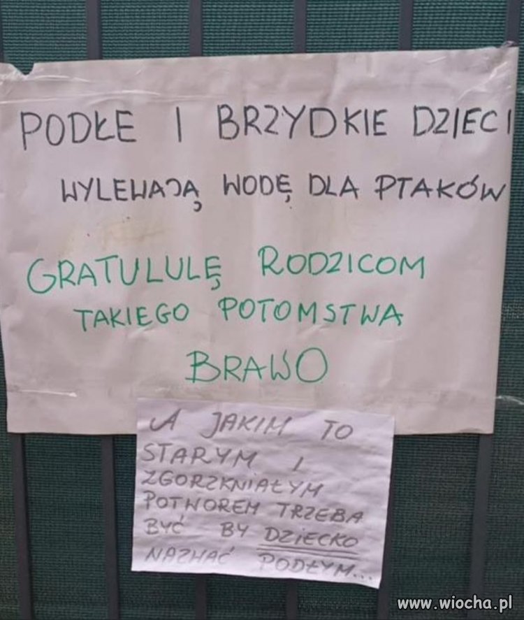 Stary i zgorzkniały 