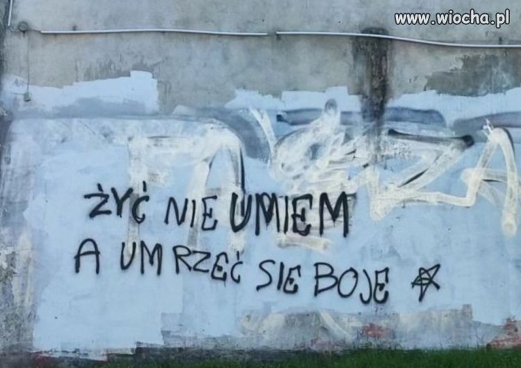 Hasło wyborcze 