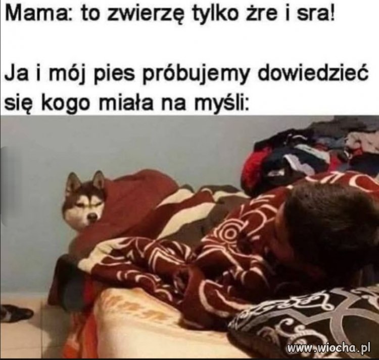I teraz pytanie 