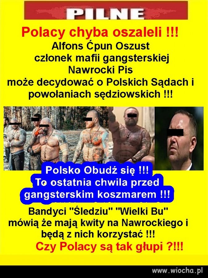 Alfons Ćpun Oszust członek mafii gangsterskiej Nawrocki PiS