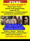 Alfons Ćpun Oszust członek mafii gangsterskiej Nawrocki PiS