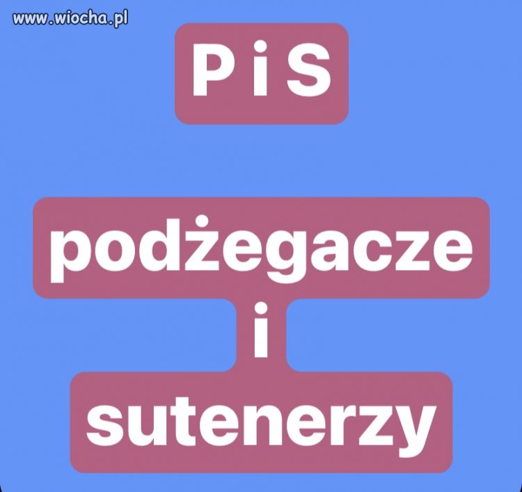 Konfa + pis = prl bis