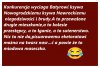 I taka jest