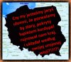 No jak widać to około 30% społeczeństwa jest
