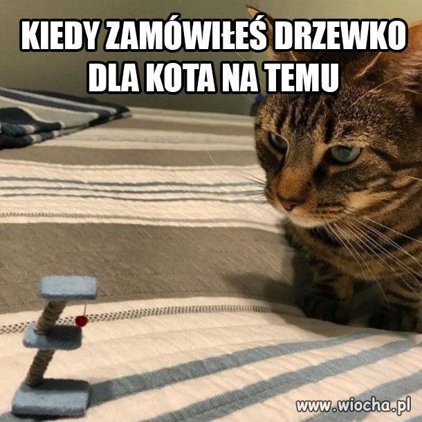 Kto wie ten wie