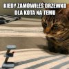 Kto wie ten wie