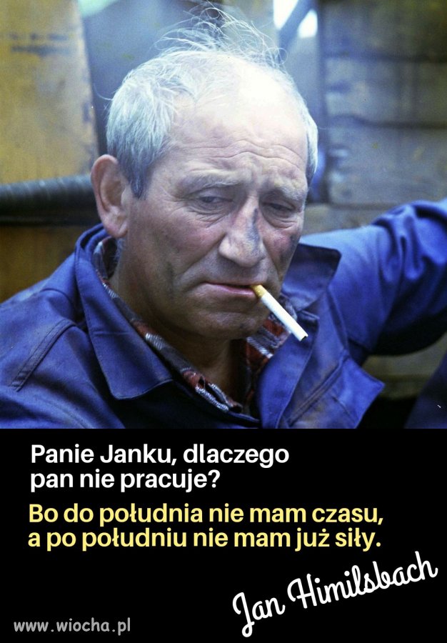 Mistrz 