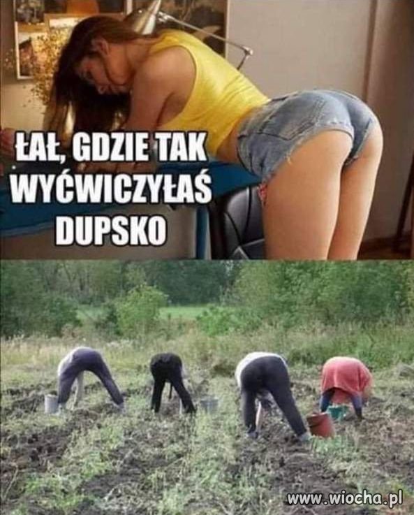 Sezon na szparagi otwarty.