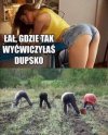 Sezon na szparagi otwarty.