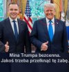 Trzeba przełknąć tę żabę.