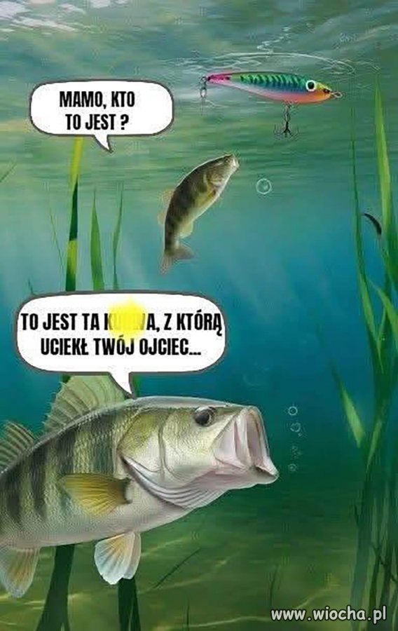 Brutalna rzeczywistość 
