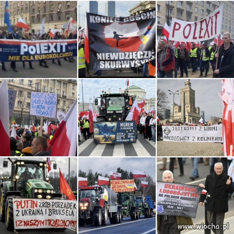 Oto zwolennicy Nawrockiego: