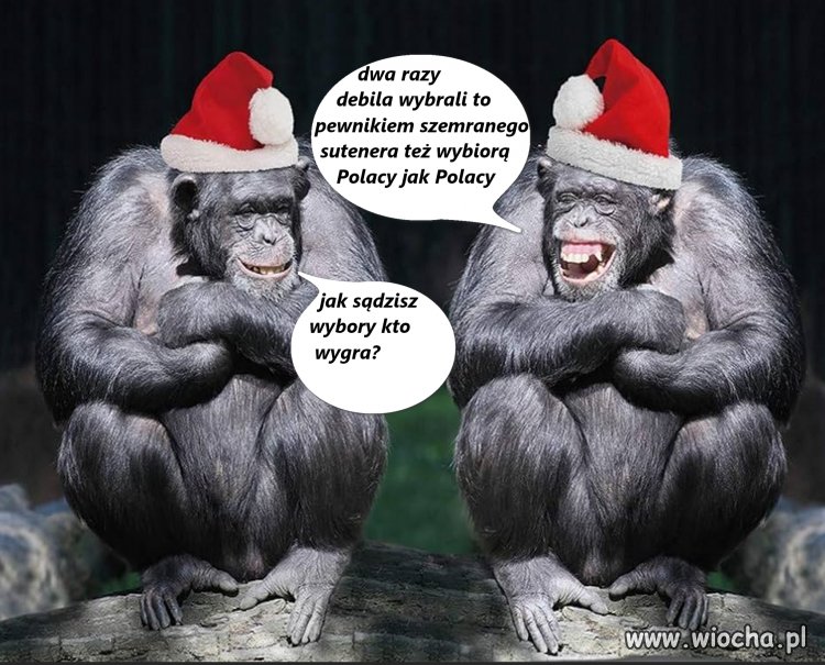 Polacy jak to Polacy, może nie wszyscy