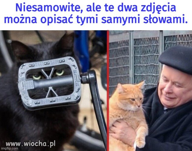 Obraz to więcej niż tysiąc słów.