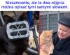 Obraz to więcej niż tysiąc słów.