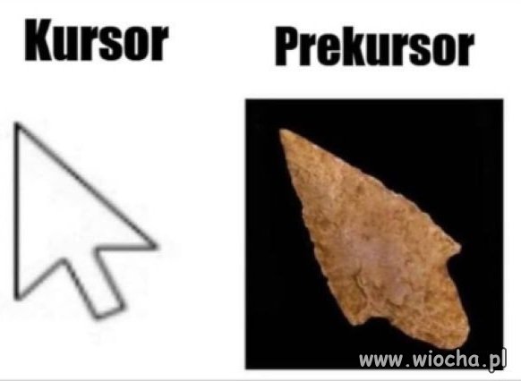 Kursor 