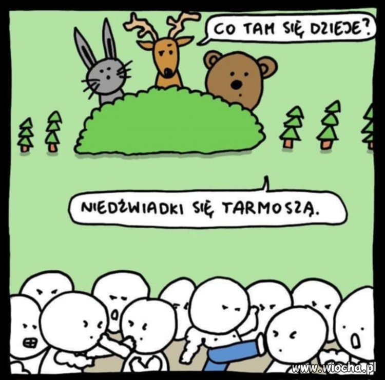 Duda to Debil... a nie prawnik