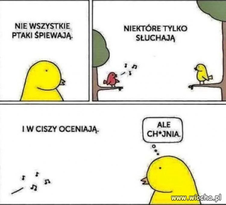 Bo to polskie ptaszki są 