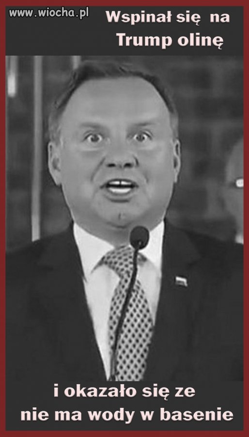 Pajac i Budyń w pałacu