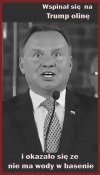 Pajac i Budyń w pałacu