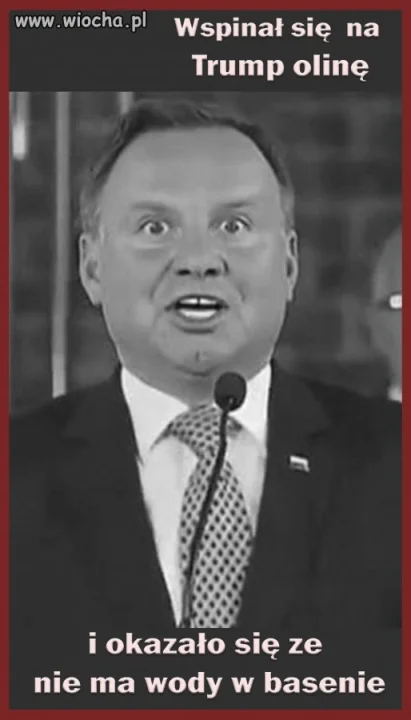 Pajac i Budyń w pałacu