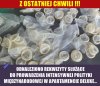 Wszystkie w rozmiarze XS - to musiał być Karol
