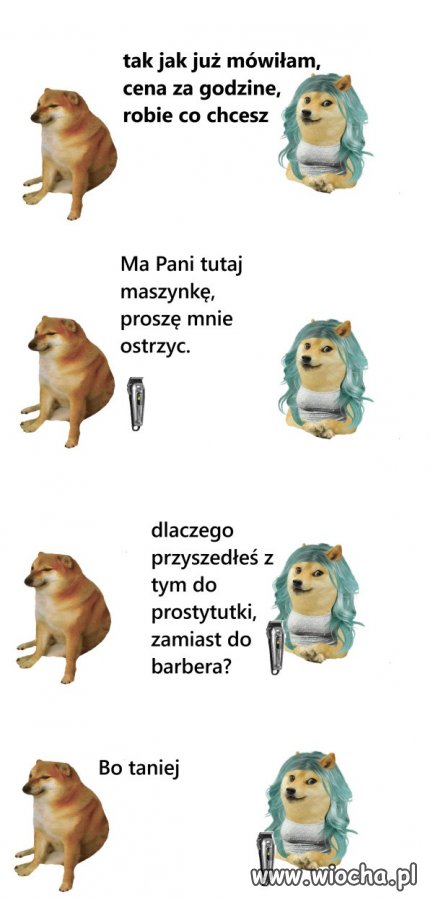 Ceny u fryzjera 2025 